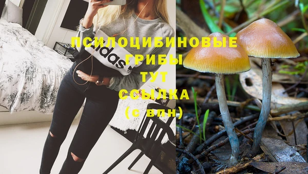 прущий лед Арсеньев
