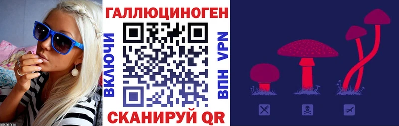 Галлюциногенные грибы MAGIC MUSHROOMS Георгиевск