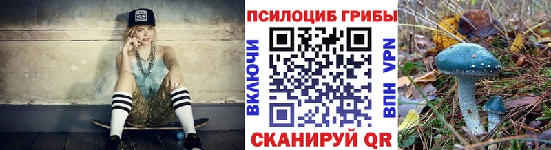 Галлюциногенные грибы GOLDEN TEACHER  Георгиевск 
